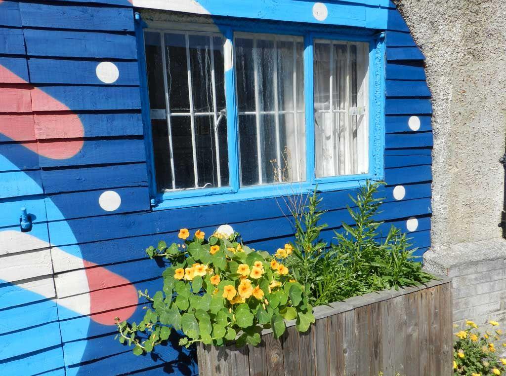 Natural dye garden/curtain